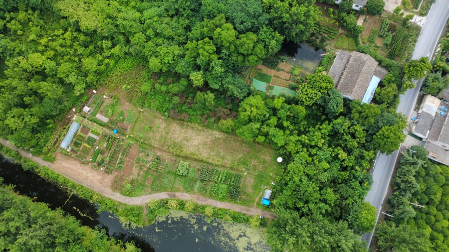园区航拍：菜地、池塘与周边林木